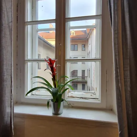 아파트 Historical Goldenes Dachl *